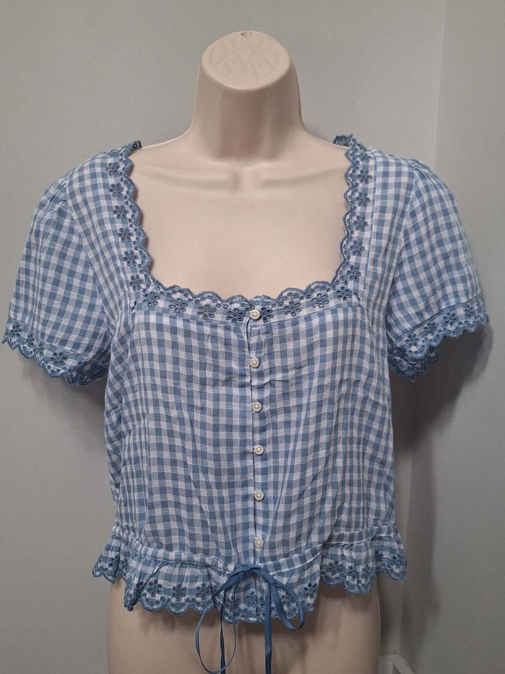 American Eagle Outfitters Blue Gingham Lace-Trim Button Front Top